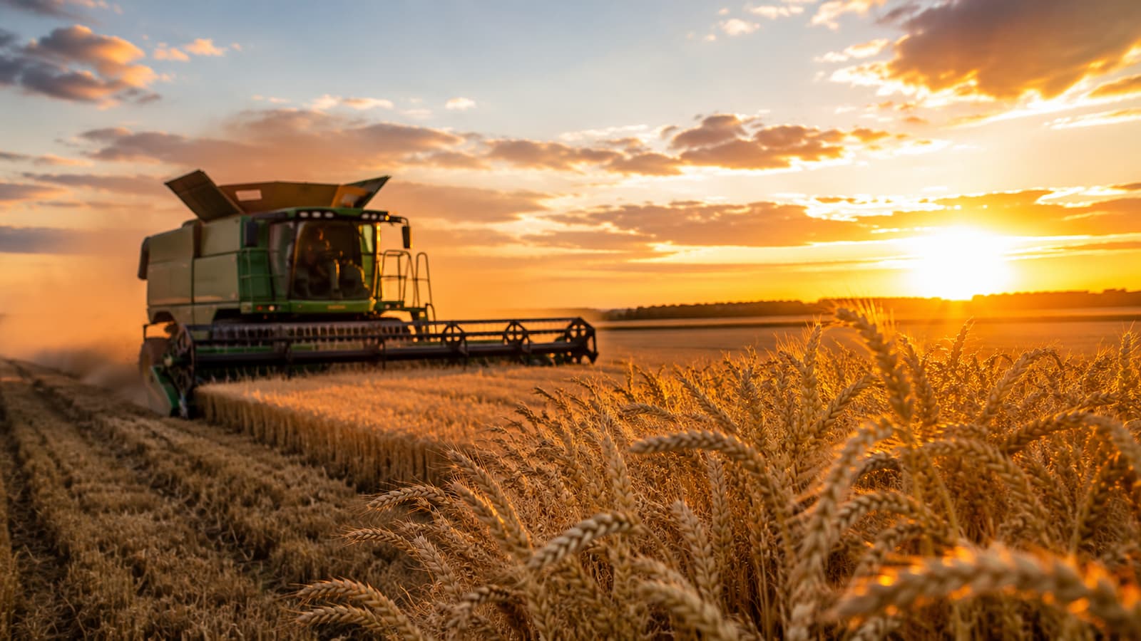 Campo agrícola con cereales y maquinaria al atardecer