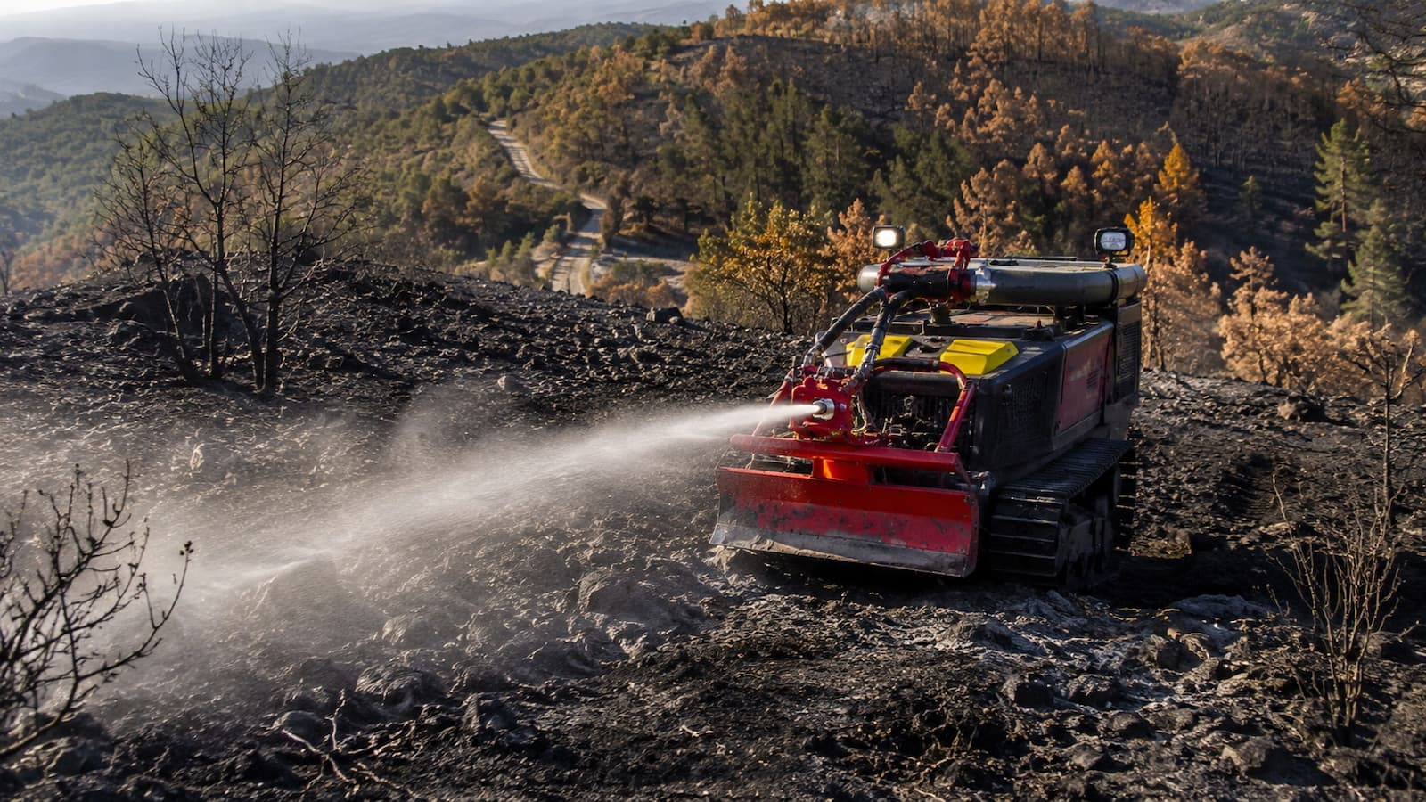 Dispositivo forestal trabajando en una zona afectada por incendios en Madrid