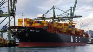 El MSC Ruby atracado en la terminal de contenedores del Puerto de Bilbao