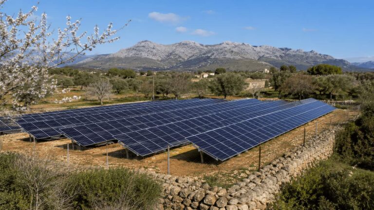 Paneles solares en suelo rústico de Mallorca