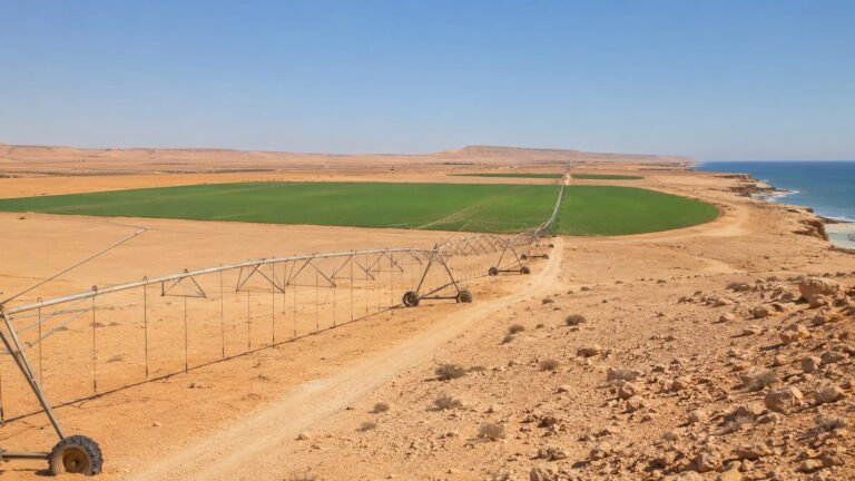 Terrenos áridos en Dajla donde Marruecos impulsa nuevos proyectos agrícolas de regadío.