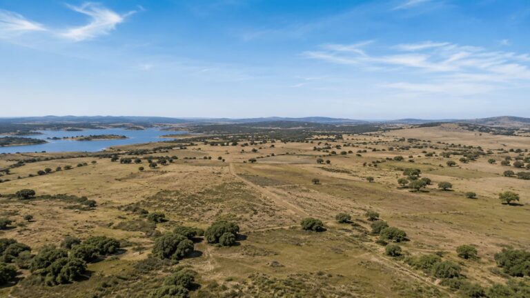 Terrenos rurales en Alcántara donde se tramita el proyecto solar FV Tagus
