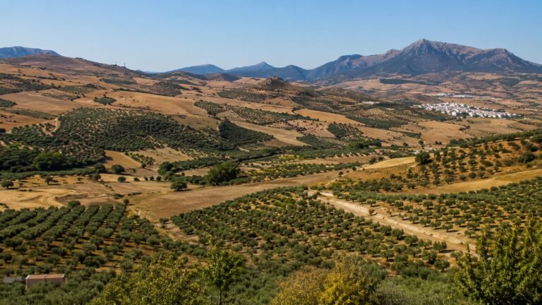 Terrenos rurales entre Teba y Cañete la Real donde se tramita la PSF Ronda 5