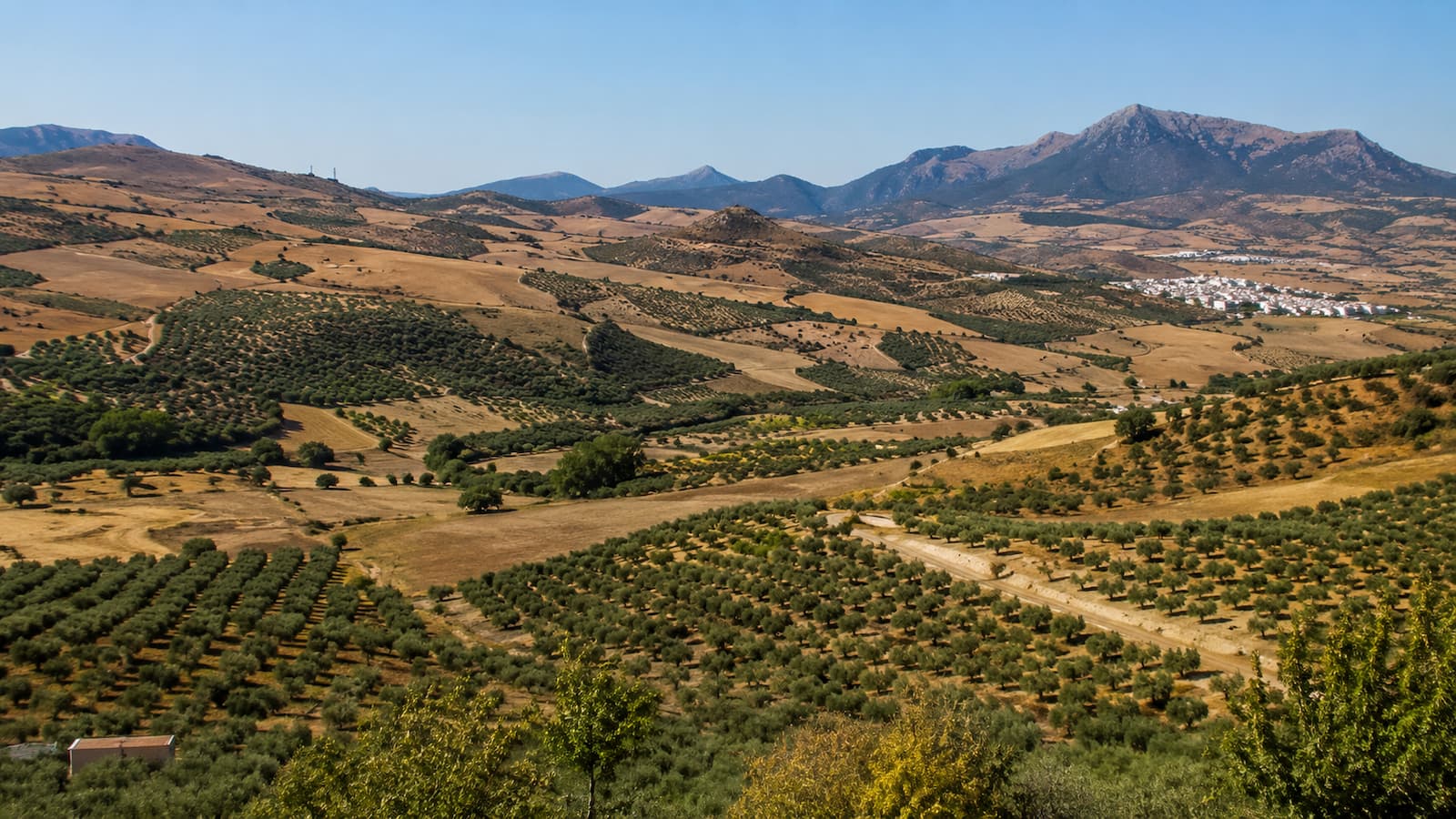 Terrenos rurales entre Teba y Cañete la Real donde se tramita la PSF Ronda 5