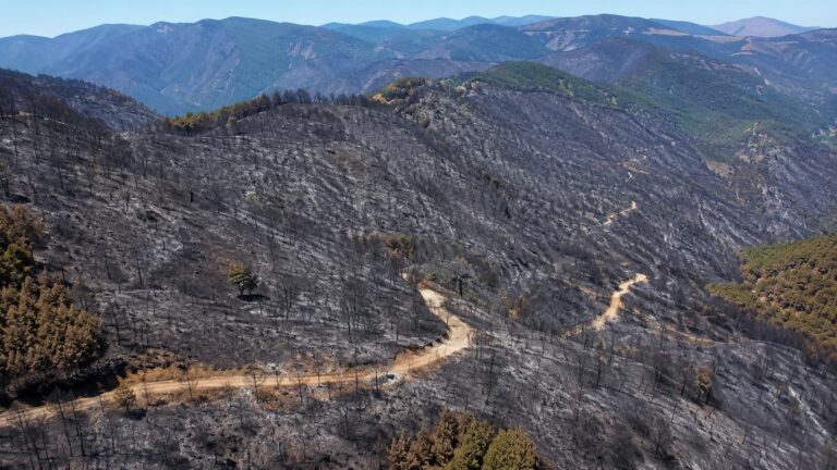 Zona afectada por el incendio de La Mierla en la Sierra Norte de Guadalajara