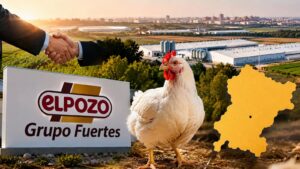 Grupo Fuertes entra en el pollo en Albacete.